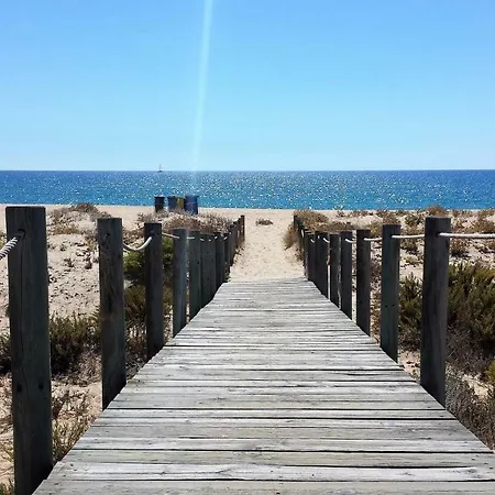 A Casa Da Arvore *