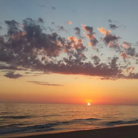 A Casa Da Arvore Hostel *