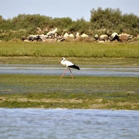A Casa Da Arvore Dystrykt Faro