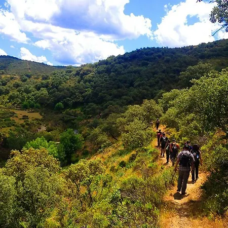 A Casa Da Arvore Hostel *