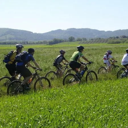 A Casa Da Arvore Hostel