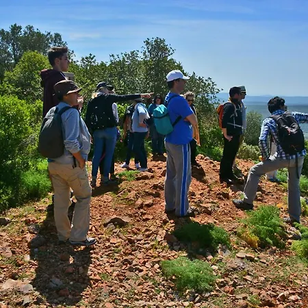 A Casa Da Arvore Hostel *