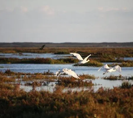 A Casa Da Arvore * Dystrykt Faro