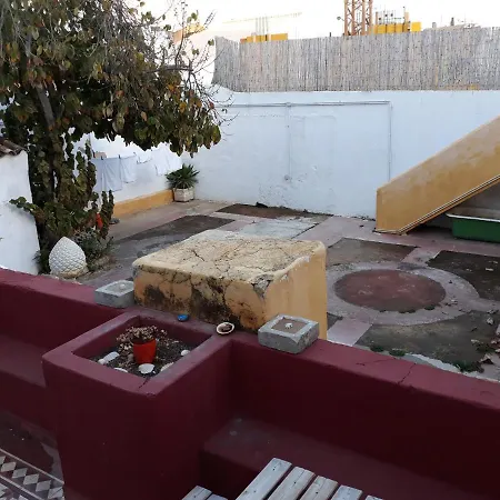 A Casa Da Arvore