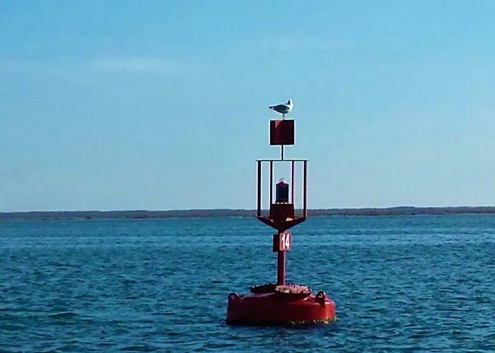 A Casa Da Arvore Hostel