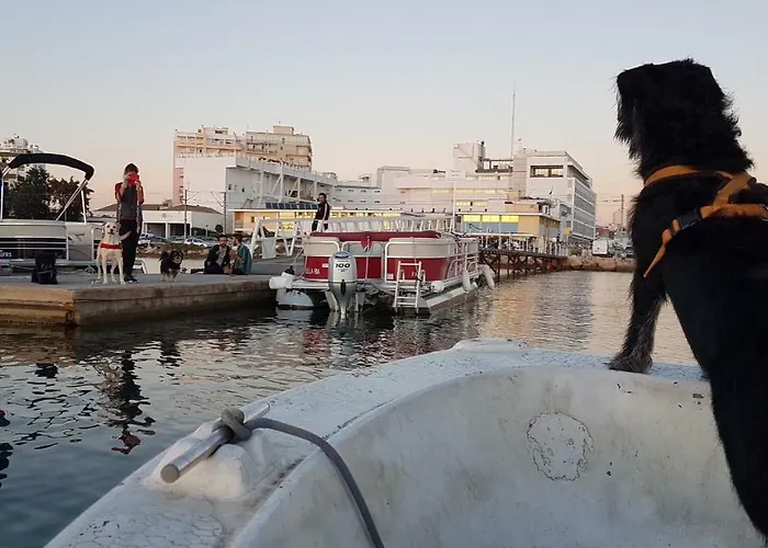 A Casa Da Arvore Hostel