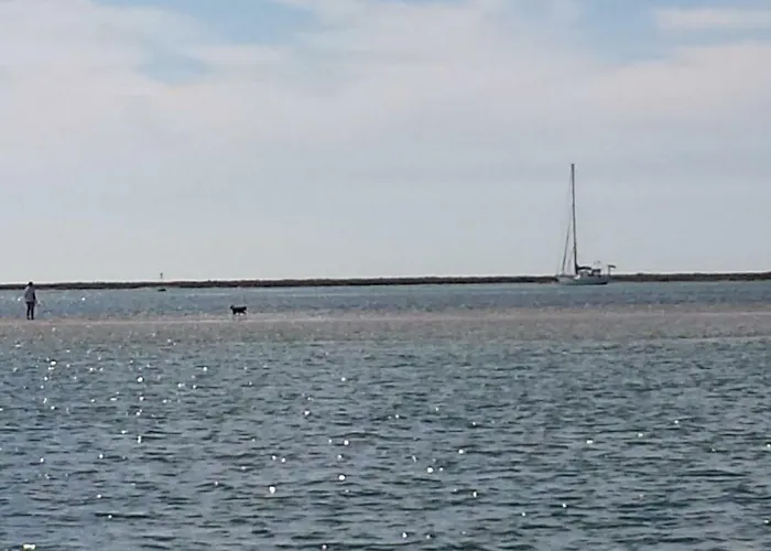 A Casa Da Arvore * Faro