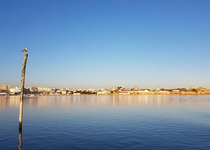 A Casa Da Arvore Faro