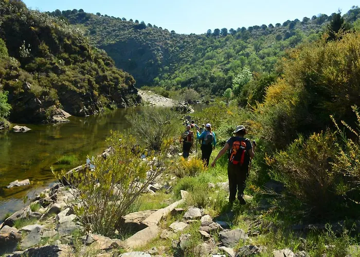 Hostel A Casa Da Arvore Faro
