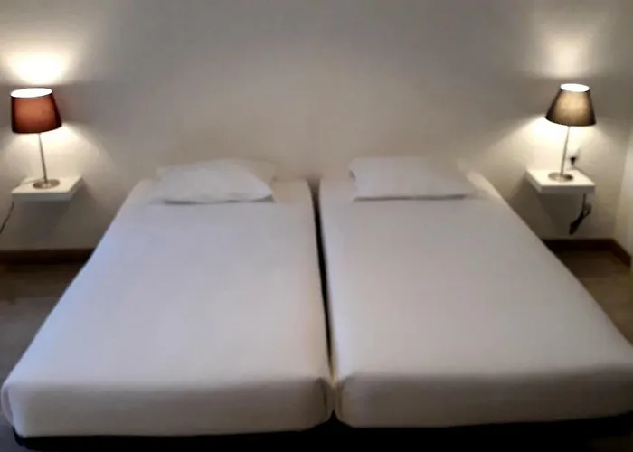 Hostel A Casa Da Arvore *