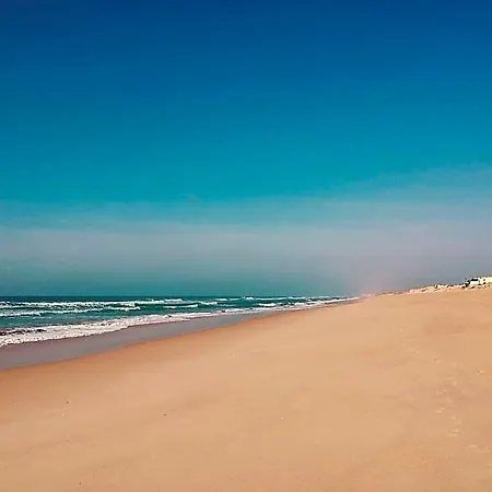A Casa Da Arvore