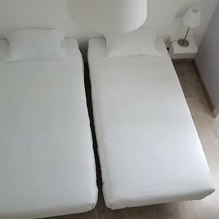 Vandrerhjem A Casa Da Arvore *