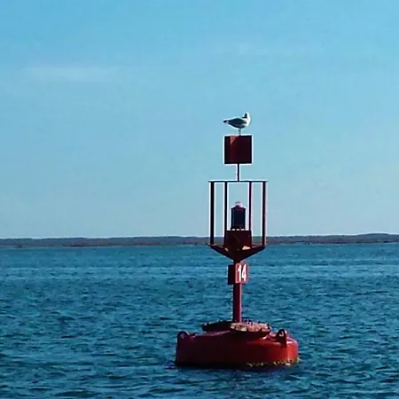 A Casa Da Arvore Hostel