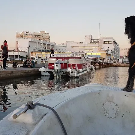 A Casa Da Arvore Hostel