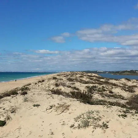 A Casa Da Arvore Hostel Faro