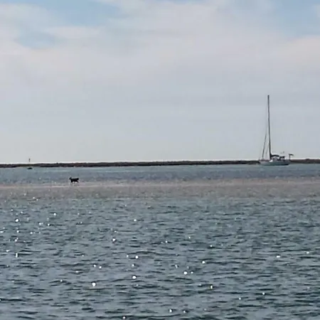 A Casa Da Arvore * Faro