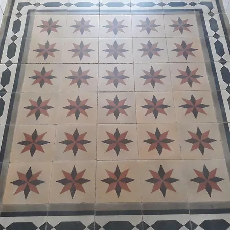 A Casa Da Arvore * Faro