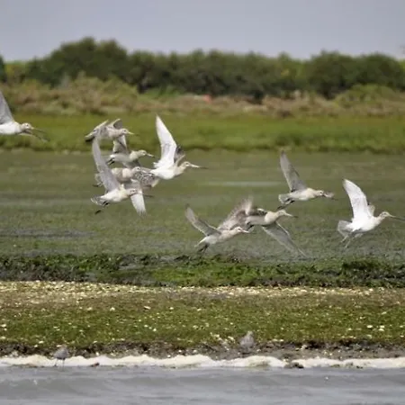 A Casa Da Arvore Hostel *