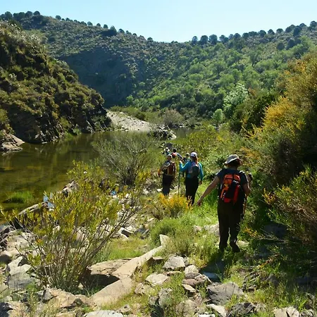 Hostel A Casa Da Arvore Faro