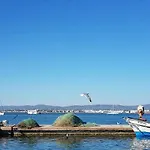 بيت شباب A Casa Da Arvore فارو