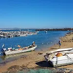 A Casa Da Arvore بيت شباب